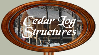 Cedar Log Structures